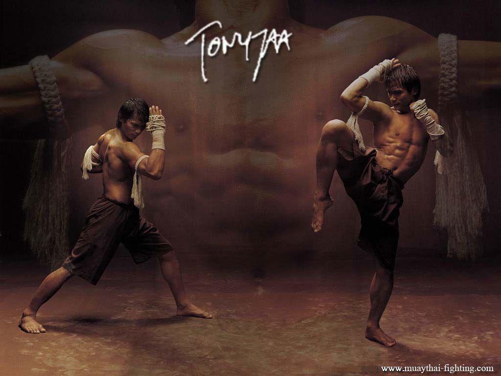 1024x768 Muay Thai Wallpaper Tony Jaa 1
