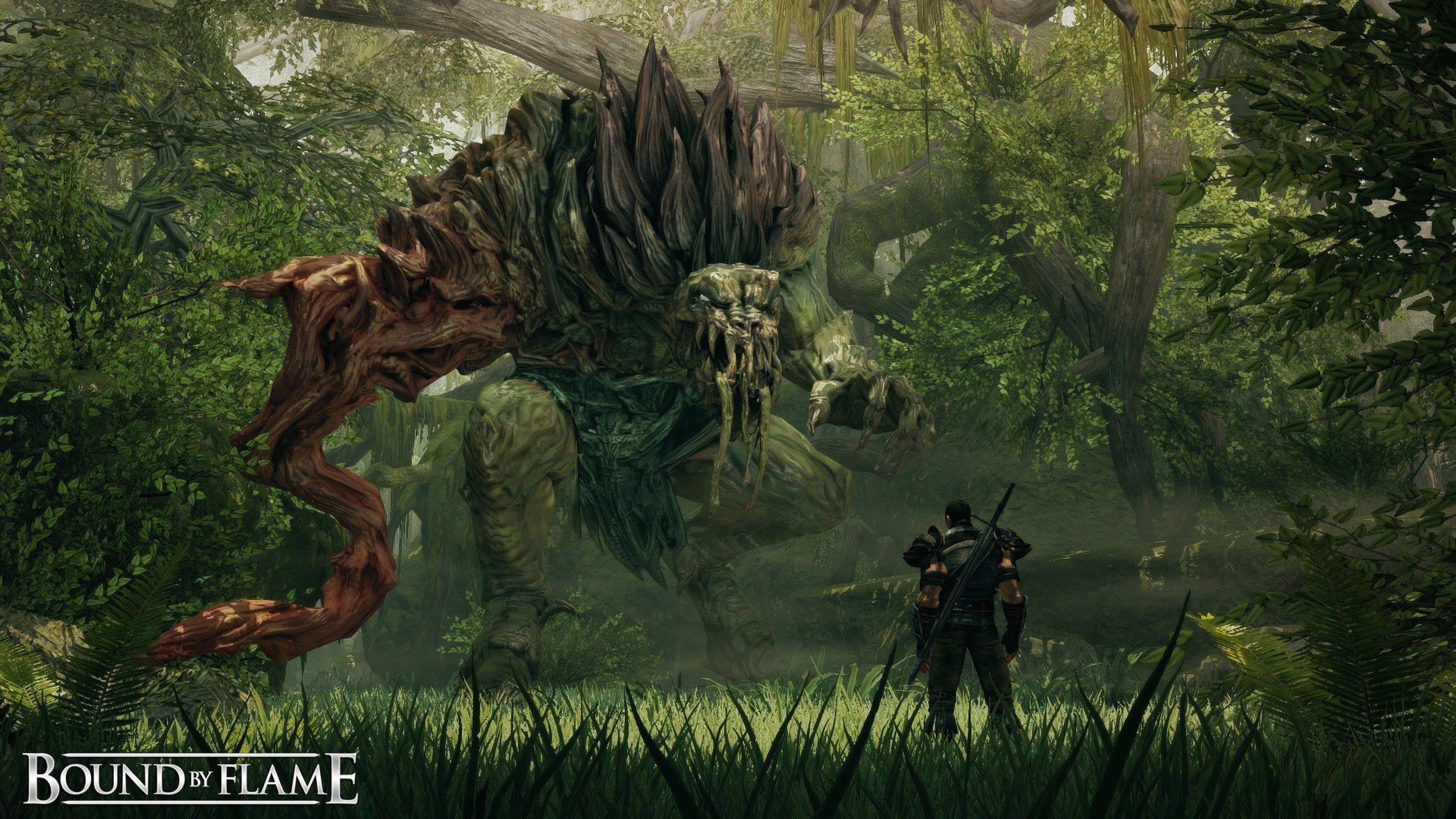 2560x1440 widescreen background bound