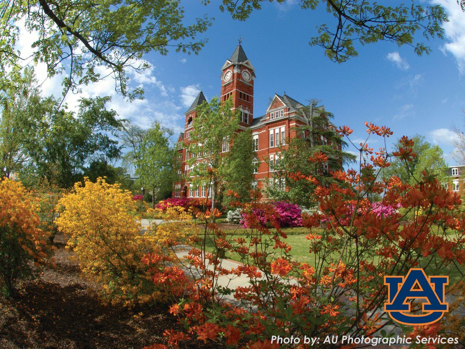Auburn University Zoom Background