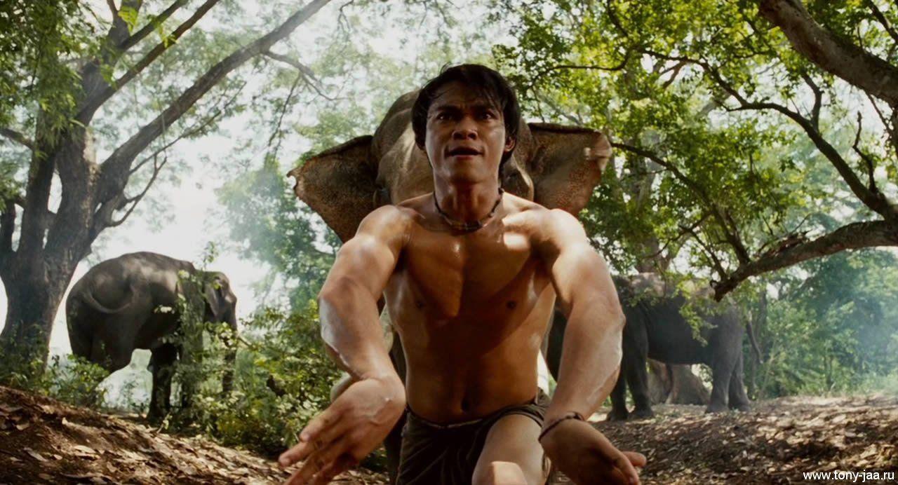 1280x692 Desktop Wallpaper: tony jaa ong bak 3 movie wallpaper, tony jaa ong bak 3 movie image, tony jaa ong bak 3 movie img, tony jaa ong bak 3 movie picture, tony jaa