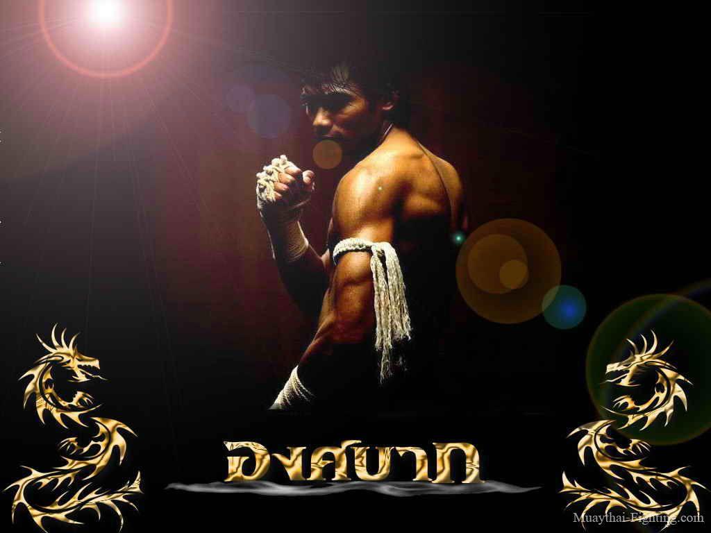 1024x768 Muay Thai Tony Jaa Wallpaper & Background Download