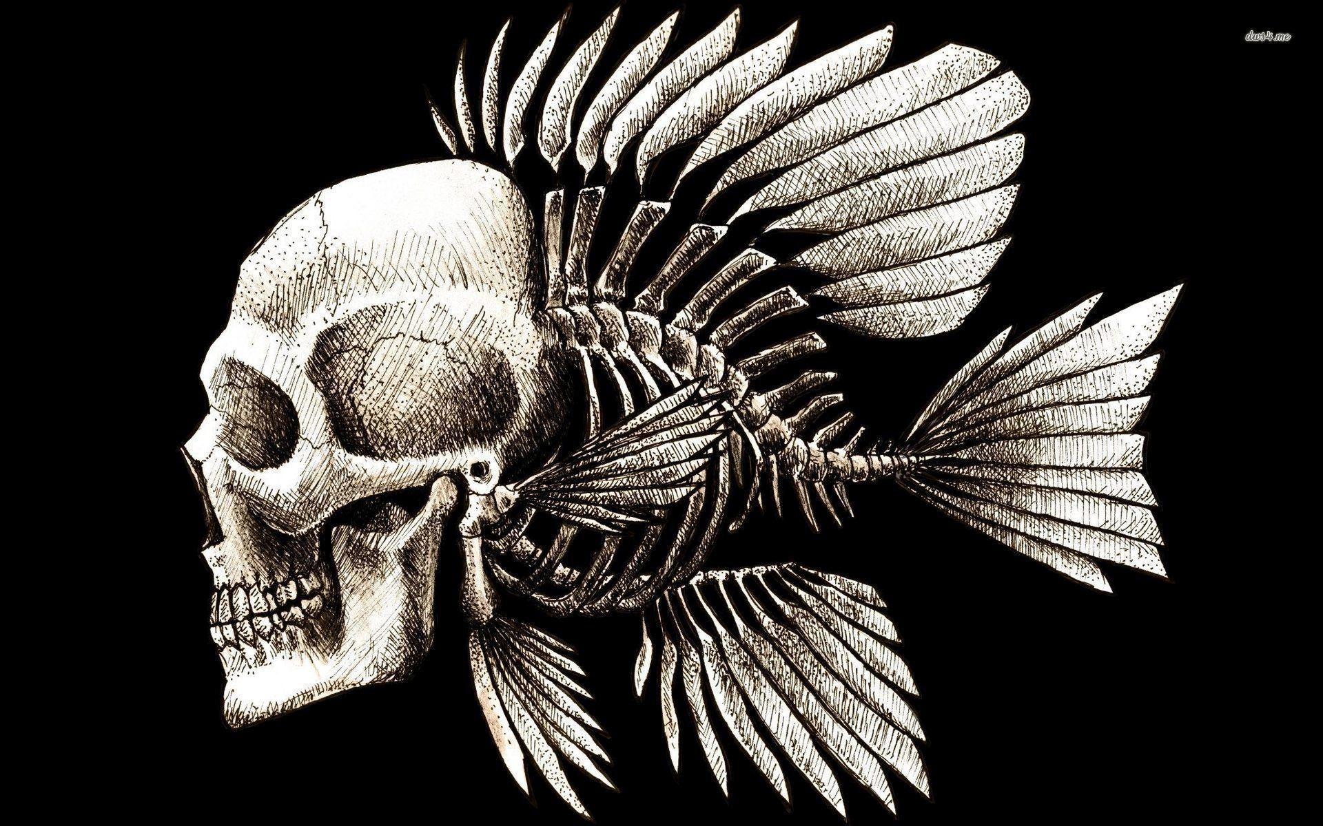 1920x1200 Human Skull with Fish Skeleton wallpaper Art wallpaper