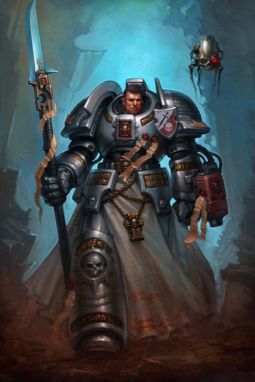 856x1280 Grey Knight wallpaper