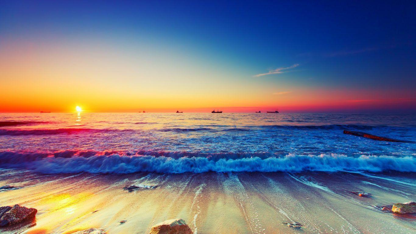 1366x768 Free download Other Trees Nature Oaks Texas Tree Big Desktop [1366x768] for your Desktop, Mobile & Tablet. Explore Sunset Ocean Rainbow Wallpaper. Sunset Ocean Rainbow Wallpaper, Ocean Sunset Wallpaper