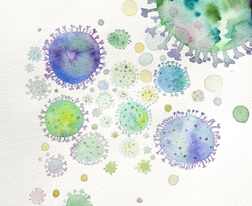 1000x818 Bacteria Picture [HD]. Download Free Image