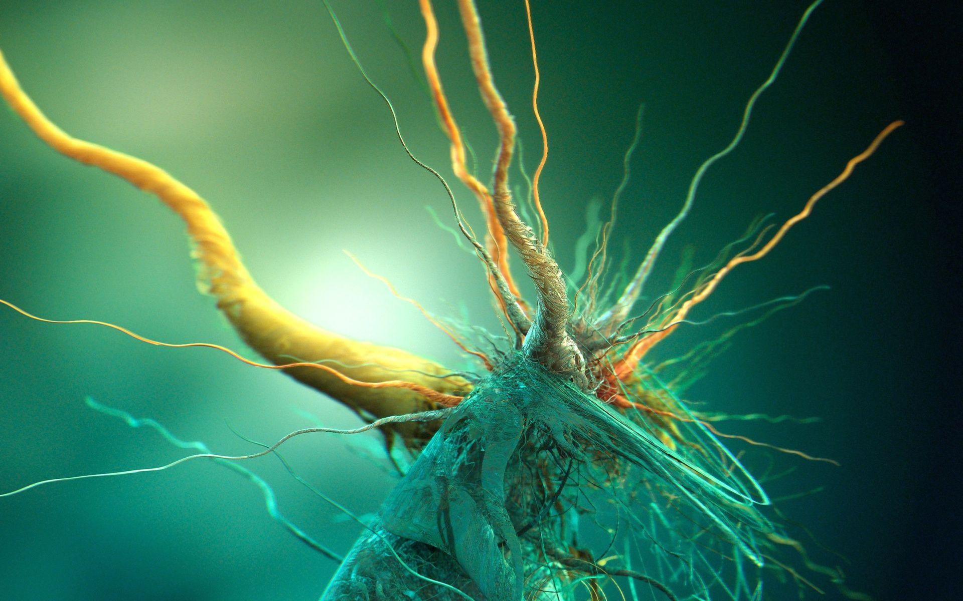 1920x1200 Bacteria Wallpaper
