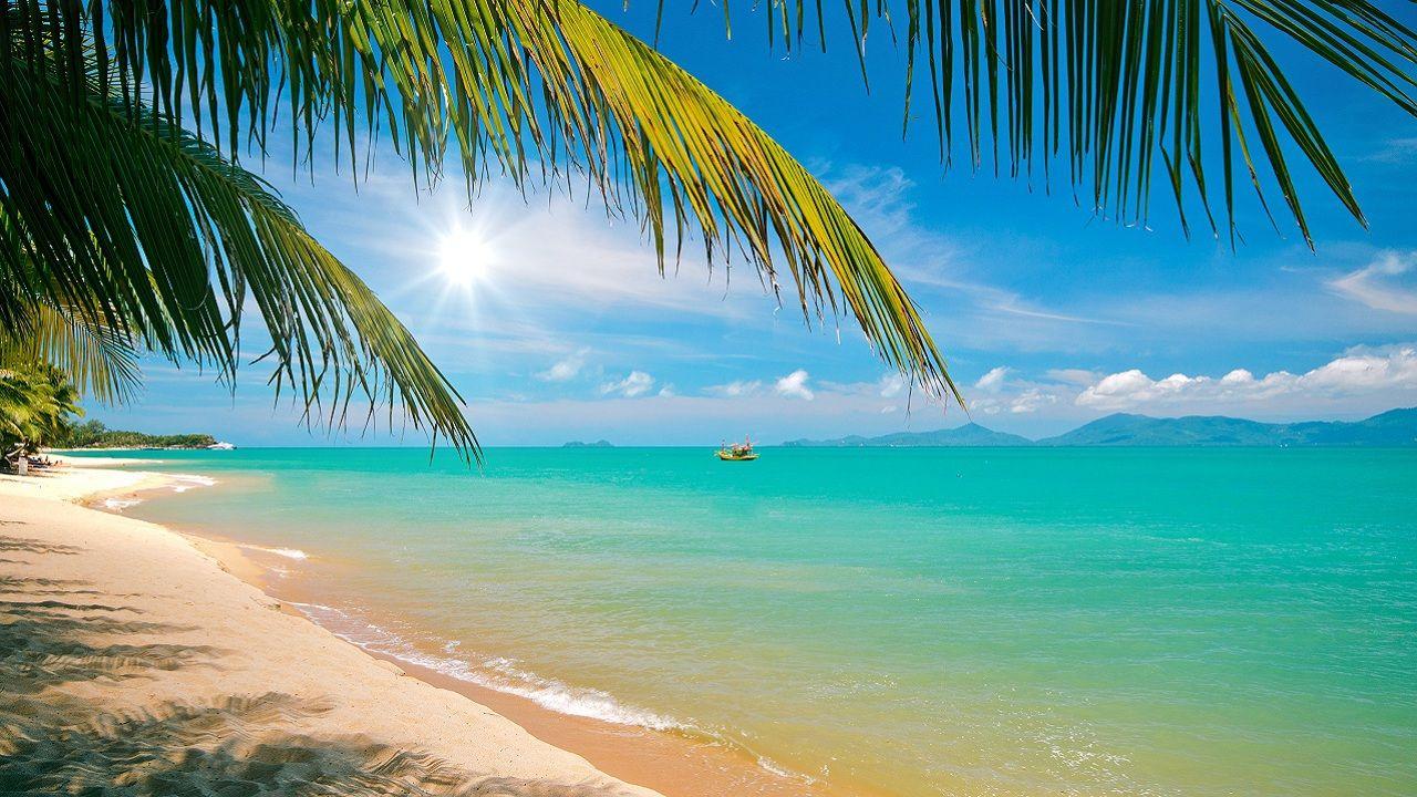 1280x720 Days Koh Phangan Stay