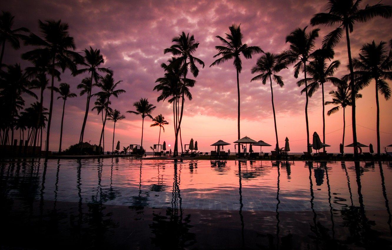 1332x850 Wallpaper pool, sunset, clouds, palm trees, Sri Lanka, Negombo Beach, Negombo, South Asia image for desktop, section пейзажи