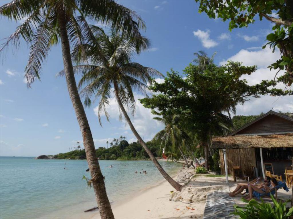 бензальдегид реакция канниццаро механизм. 2-бромпропан и koh (спирт. бензоат калия получение из толуола. Koh yao noi. C6h5cook koh.