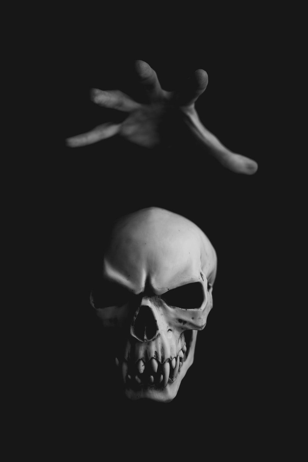 1000x1498 Skull Picture. Download Free Image