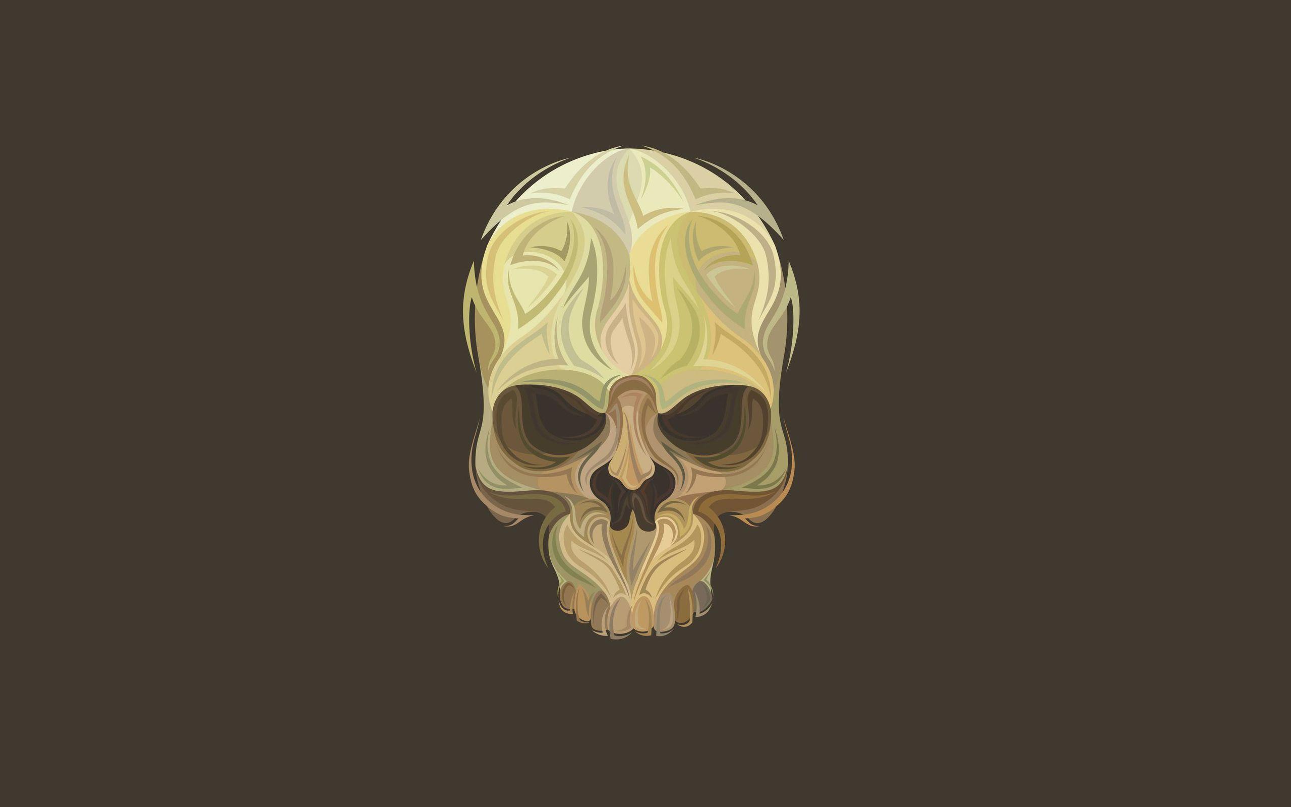 2560x1600 Skull Head Wallpaper HD Wallpaper