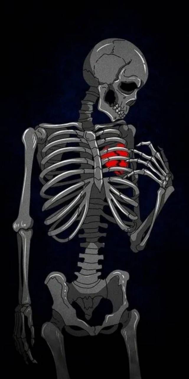640x1280 Skeleton Wallpaper by ZEDGE™