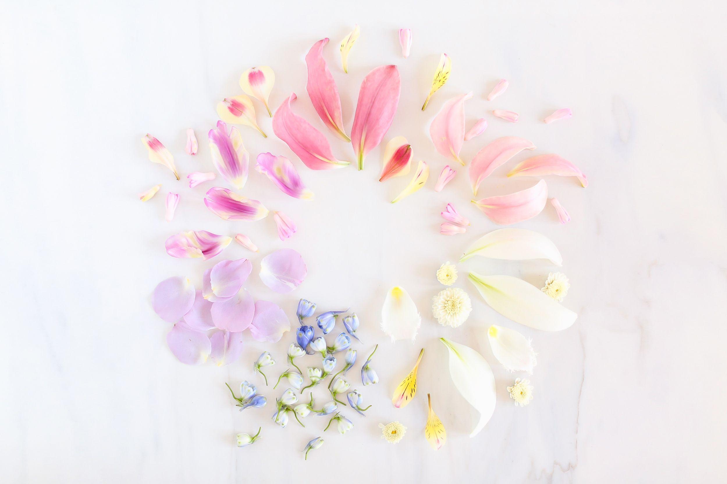 2499x1665 DIGITAL BLOOMS JUNE 2018. FREE DESKTOP WALLPAPERS