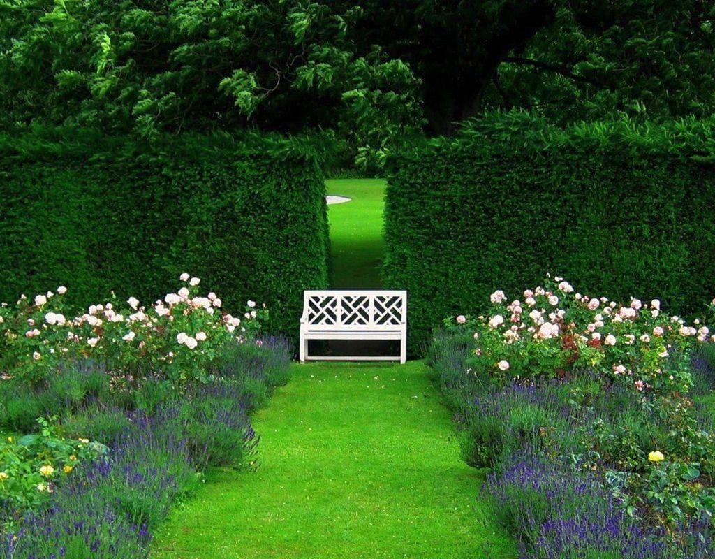 1024x800 Beautiful Gardens Garden Green Exotic Flower Wallpaper Wallpaper & Background Download