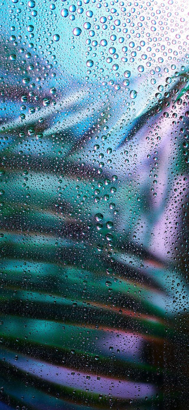 640x1385 Raindrop exotic plant art illustration iPhone X Wallpaper Free Download