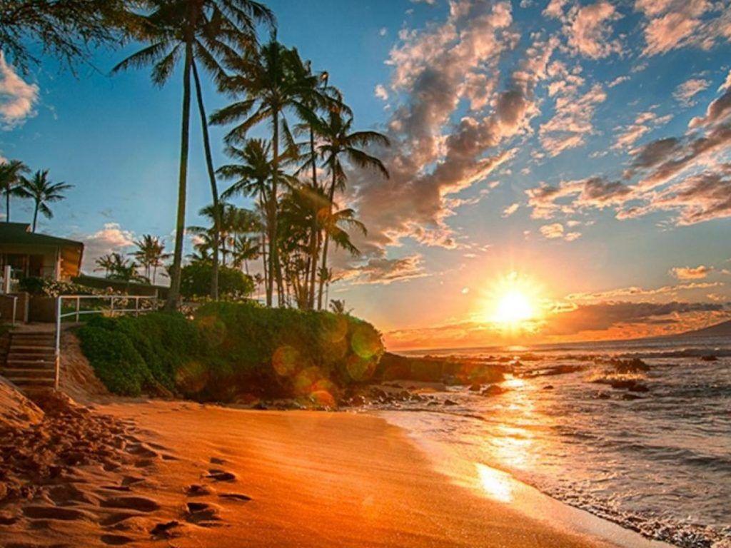 1024x768 Hawaii Exotic Wallpaper HD Sea Sand Beach Palms Green Sky With White Cloud Sunset 1920x1080 :