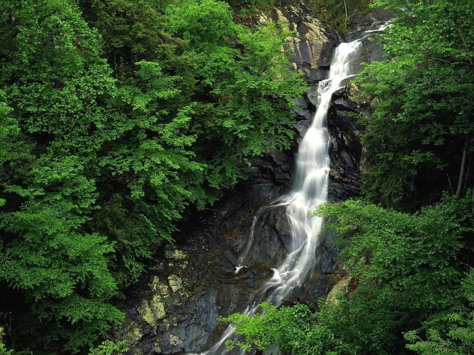 1600x1200 Green nature forests waterfalls exotic wallpaperx1200