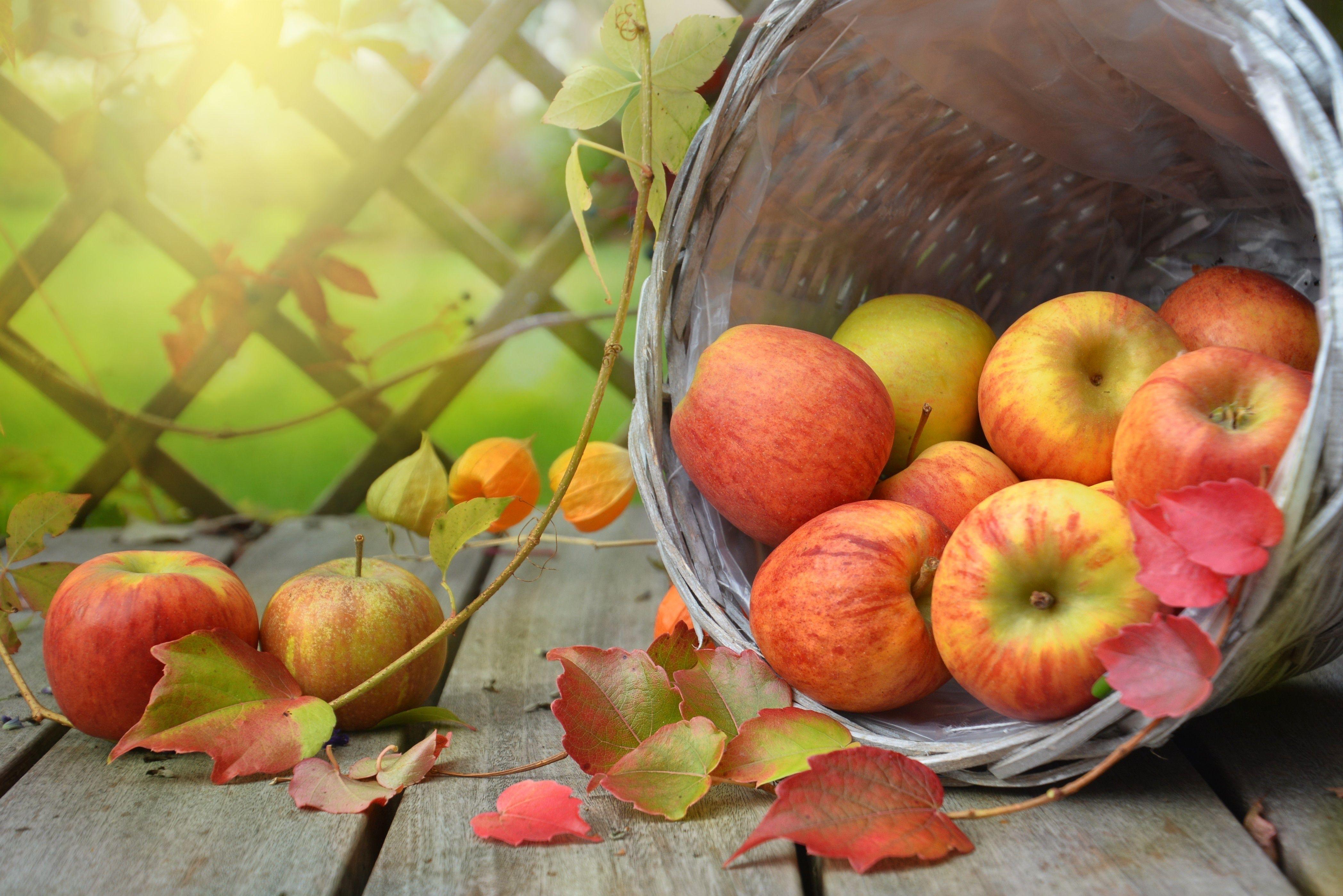 Autumn Apples Wallpapers Top Free Autumn Apples Backgrounds Wallpaperaccess 6199