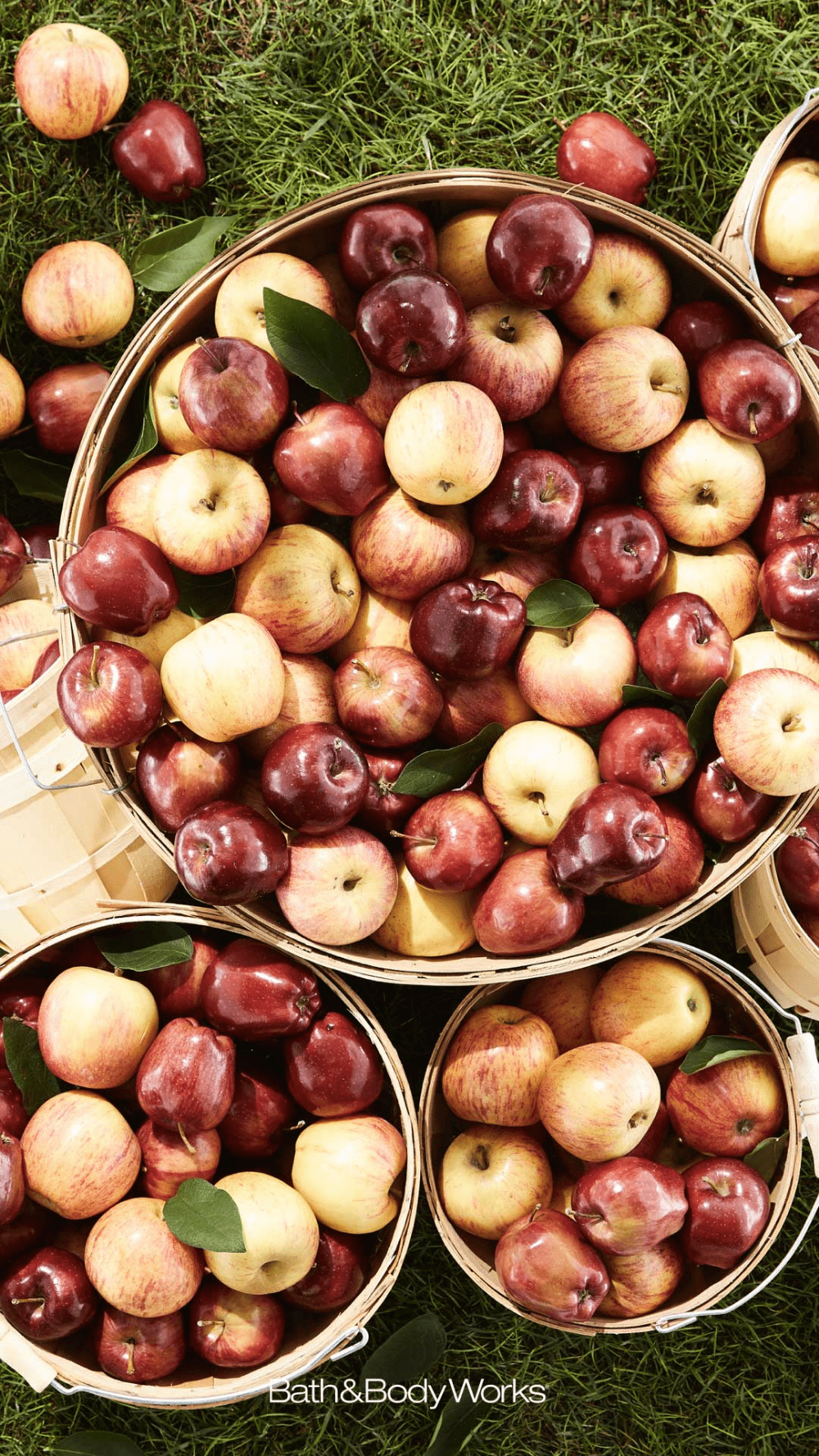 Fall Apples Wallpapers Top Free Fall Apples Backgrounds Wallpaperaccess 