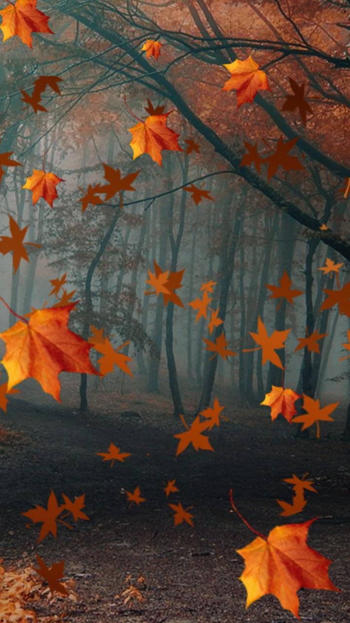 720x1280 Leaves Live Wallpaper Apple Watch Faces