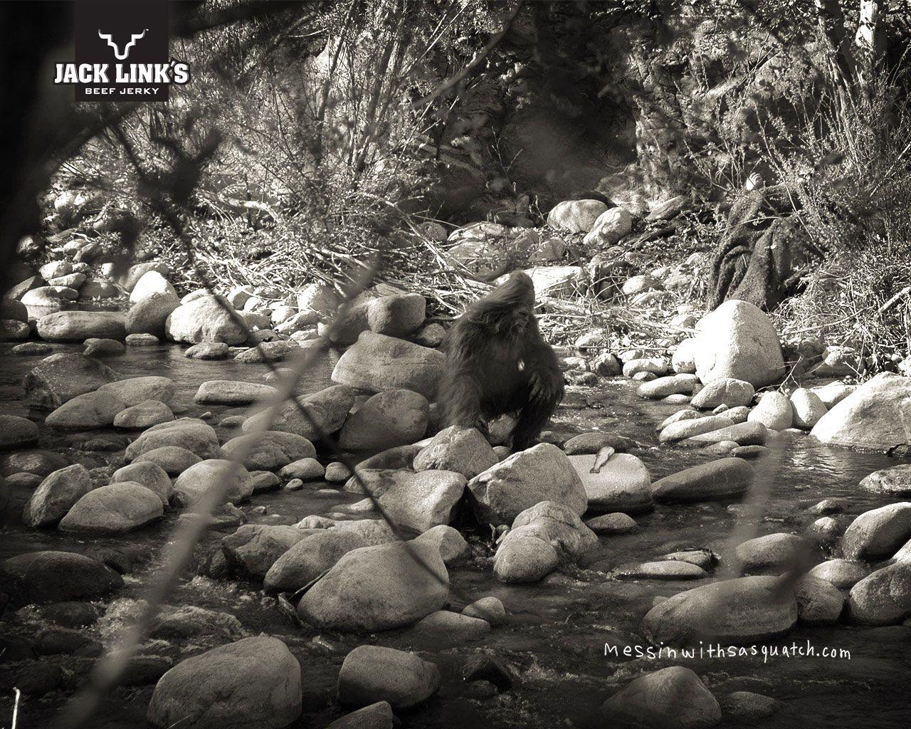1280x1024 Bigfoot News. Bigfoot Lunch Club: Messin With Sasquatch Portal