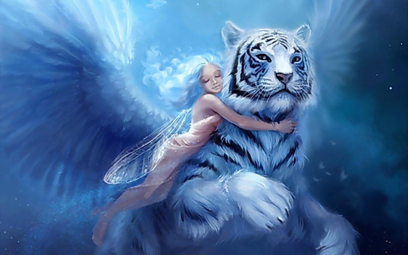 1368x855 Fairy Wallpaper For Desktop Fairy HD Wallpaper