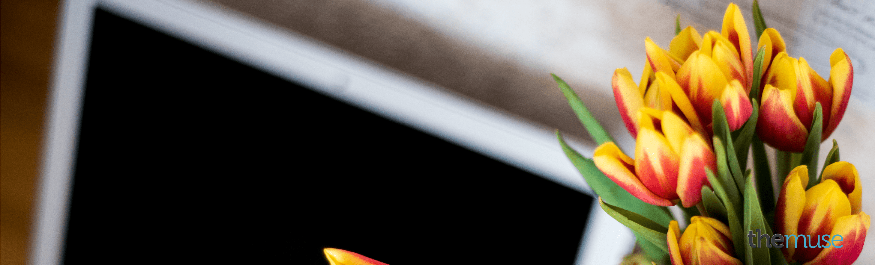 2917x885 Work