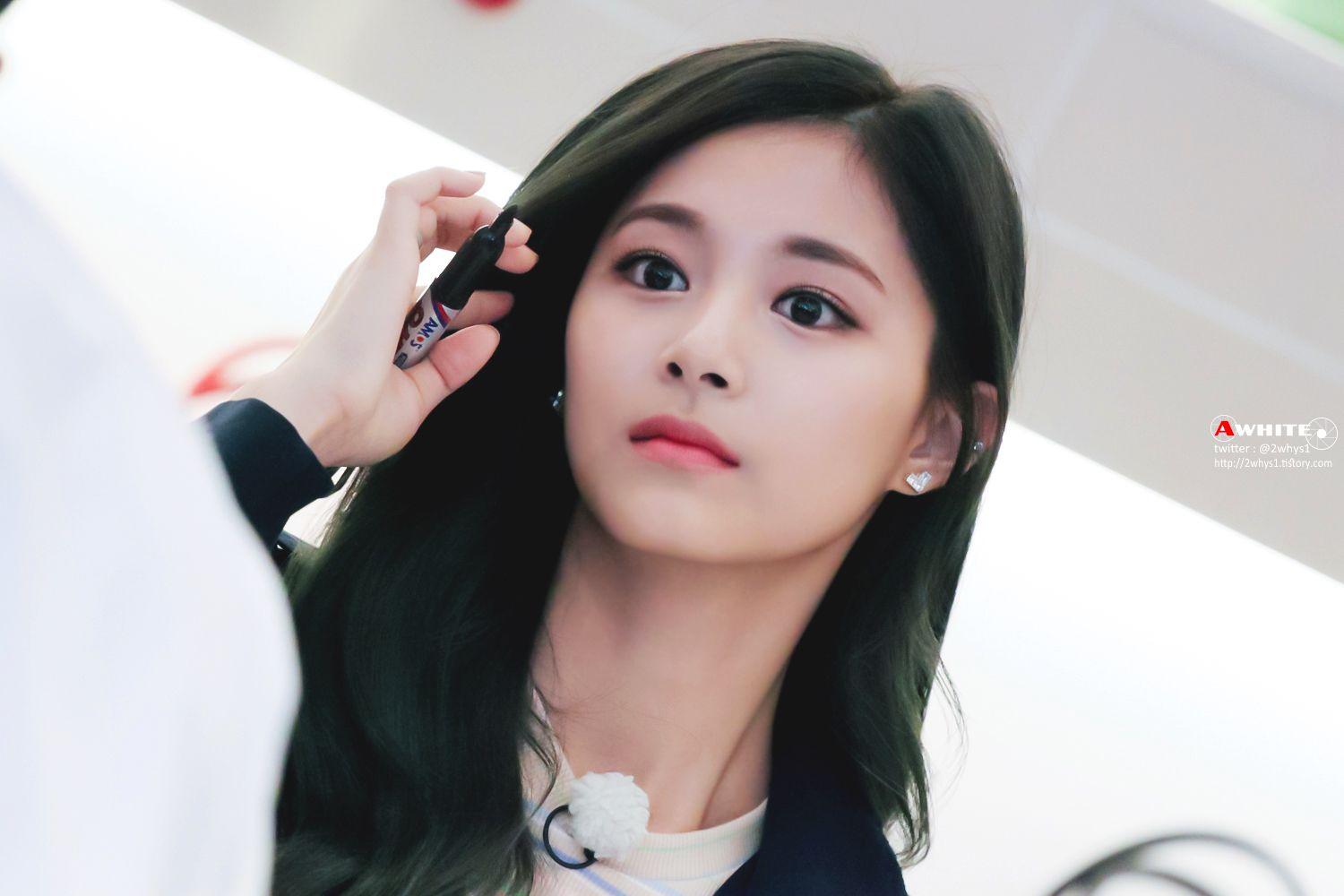 1500x1000 Forest Wallpaper HD Tzuyu