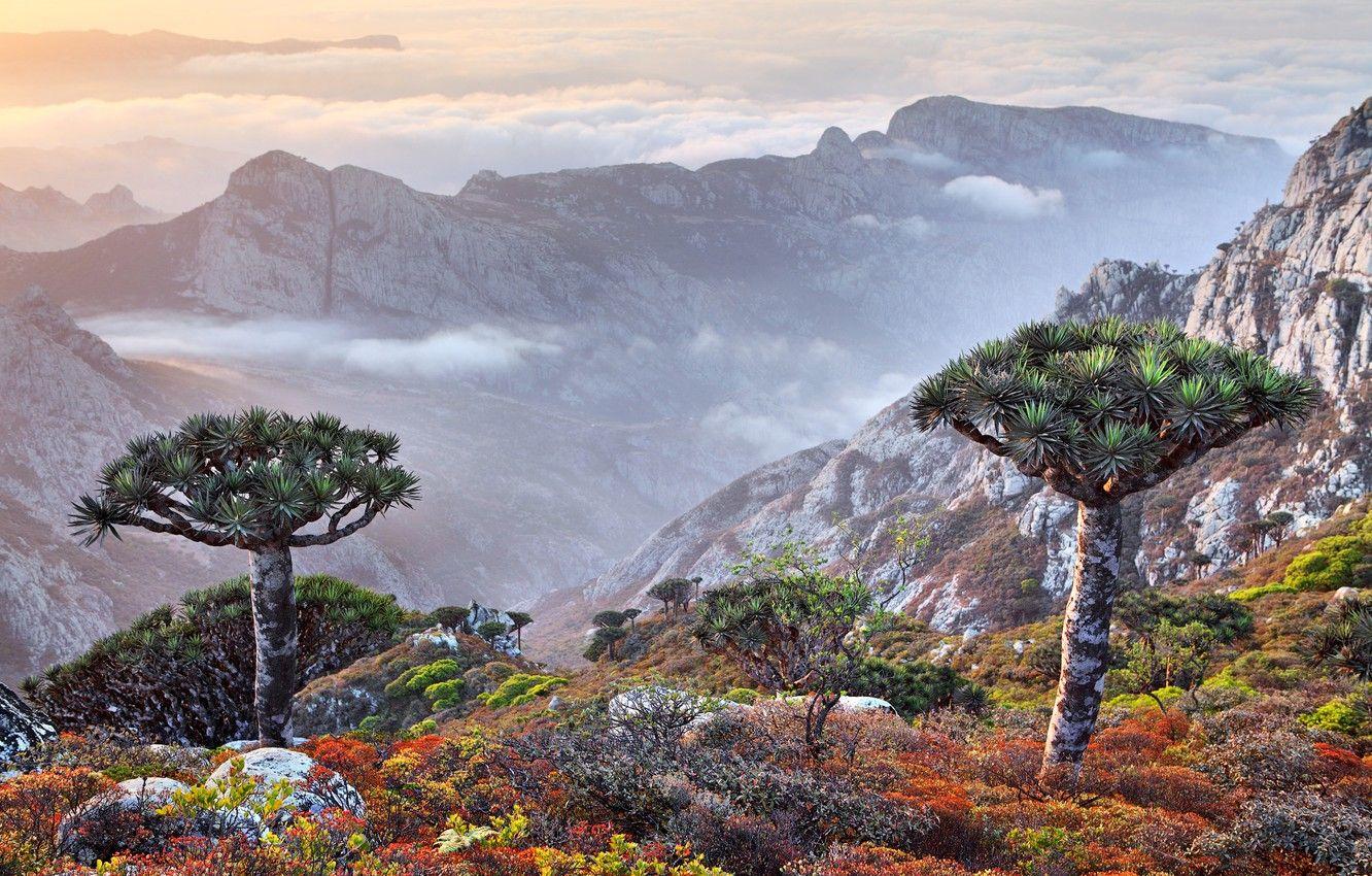 1332x850 Beautiful Wallpaper Yemen