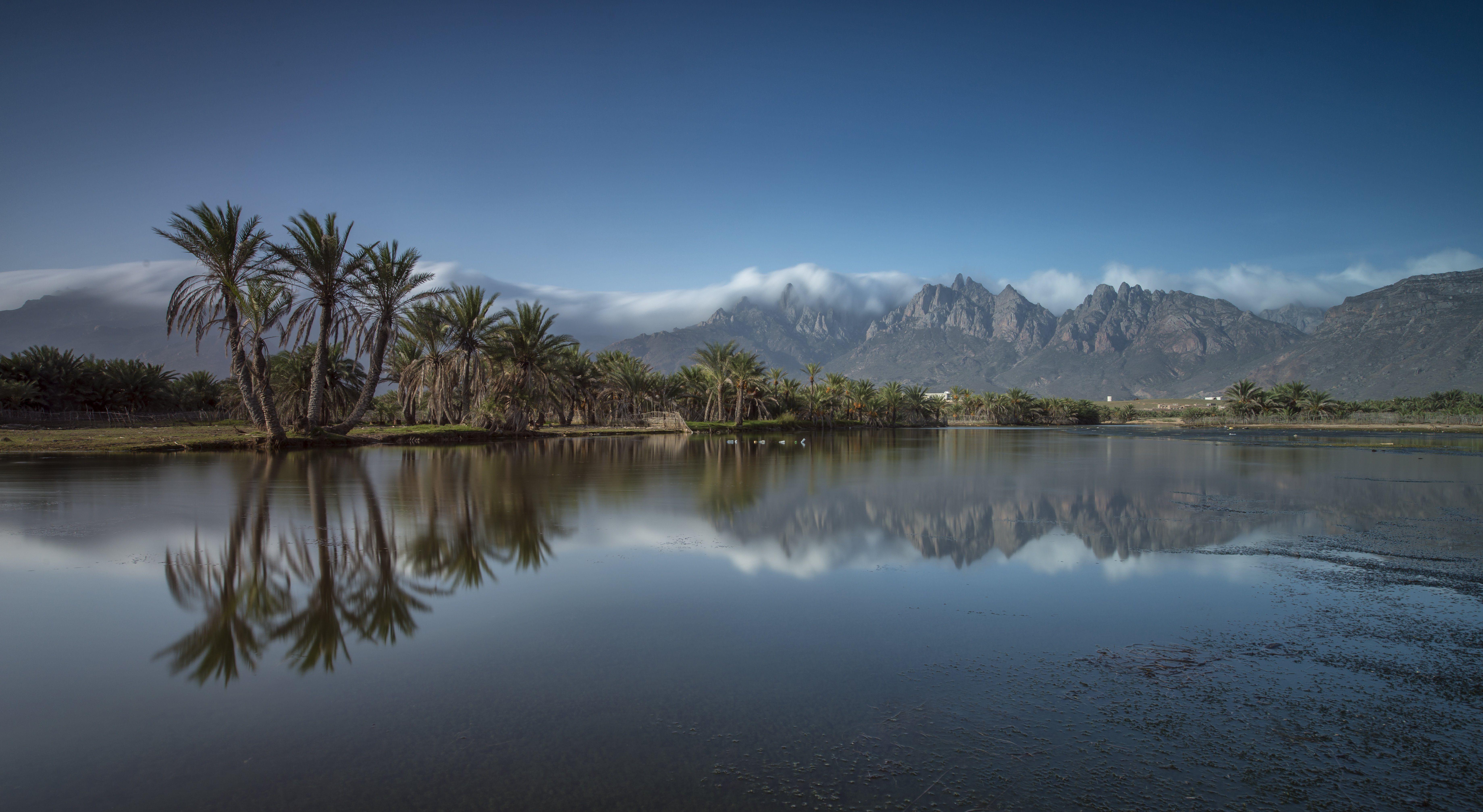 7359x4030 Socotra Island Yemen Mountain Palm Island Fog Landmark Landscape Reflection wallpaperx4030