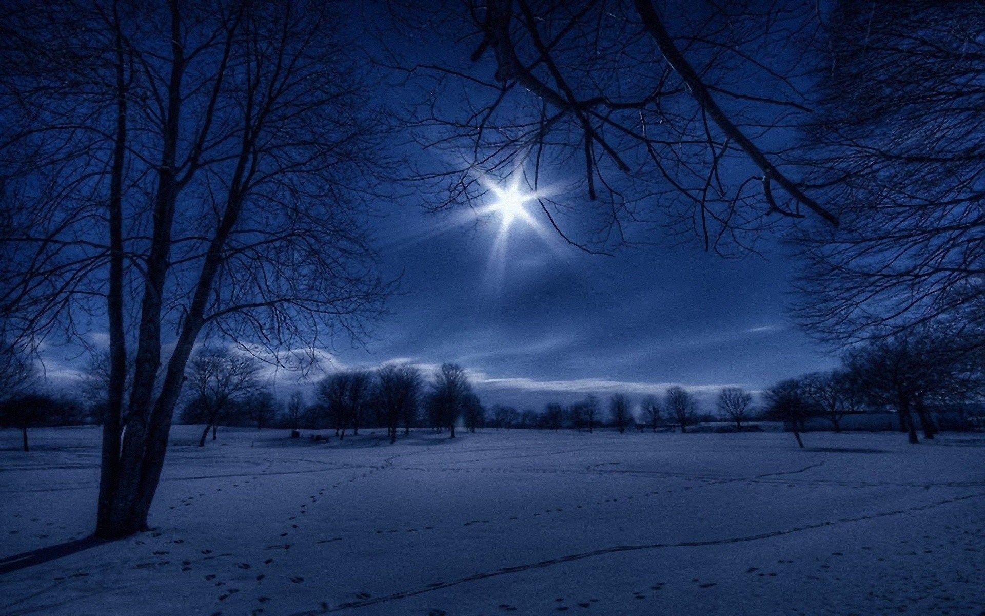 1920x1200 Winter Night In Moonlight Wallpaper Widescreen Star In Sky HD Wallpaper