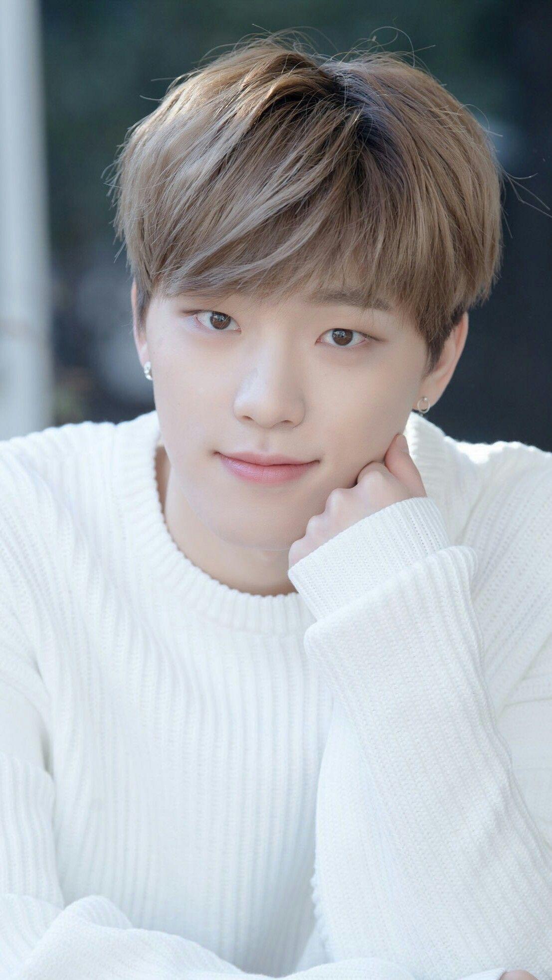 1107x1967 Dino Seventeen Wallpaper