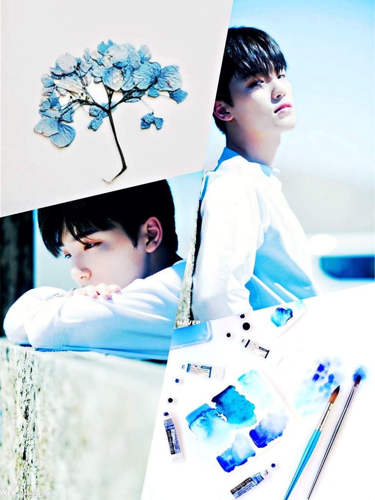 768x1024 Dino Seventeen Wallpaper