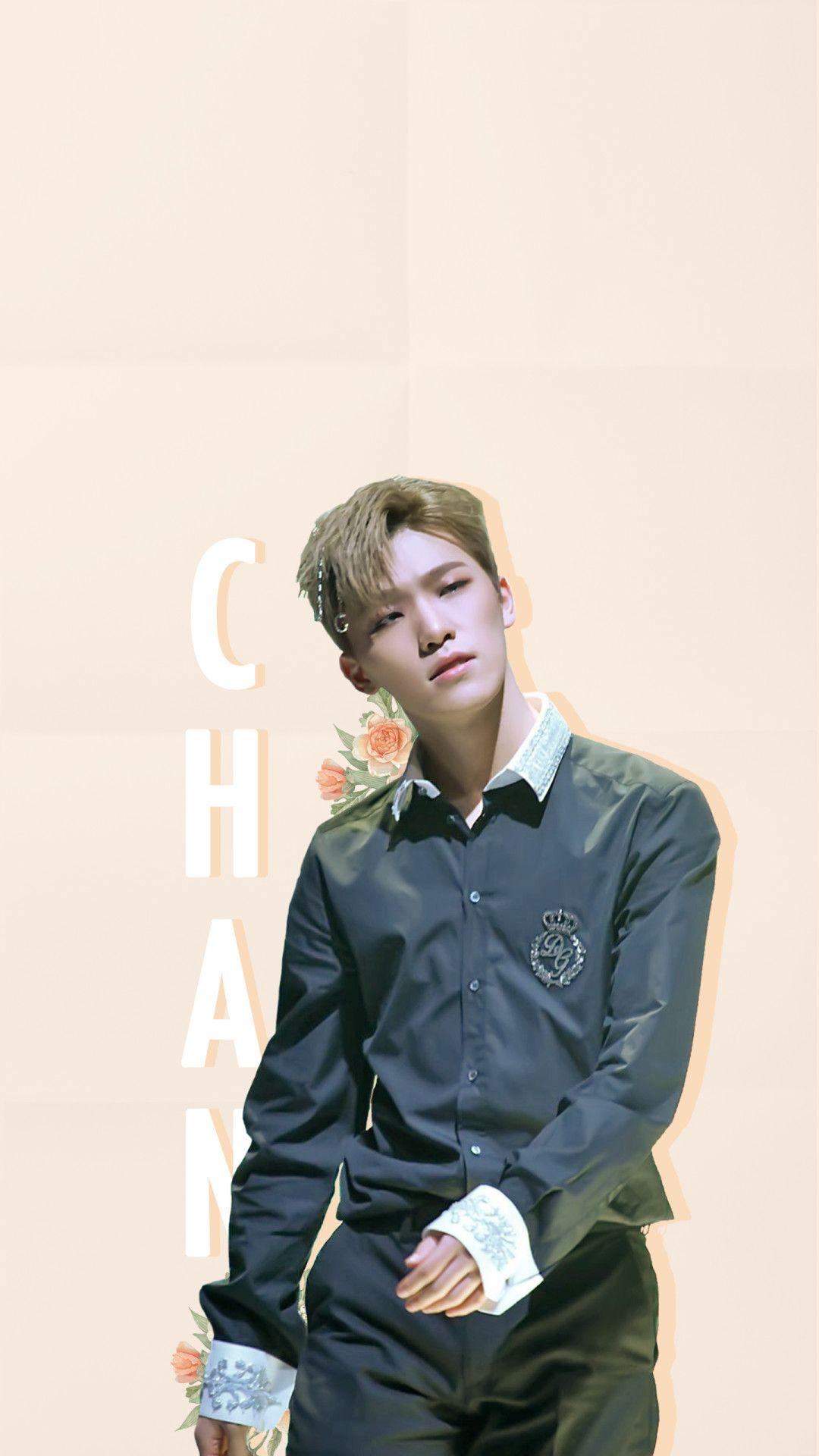 1080x1920 Dino Wallpaper Dino Lockscreen Chan Wallpaper Chan Seventeen Highlight