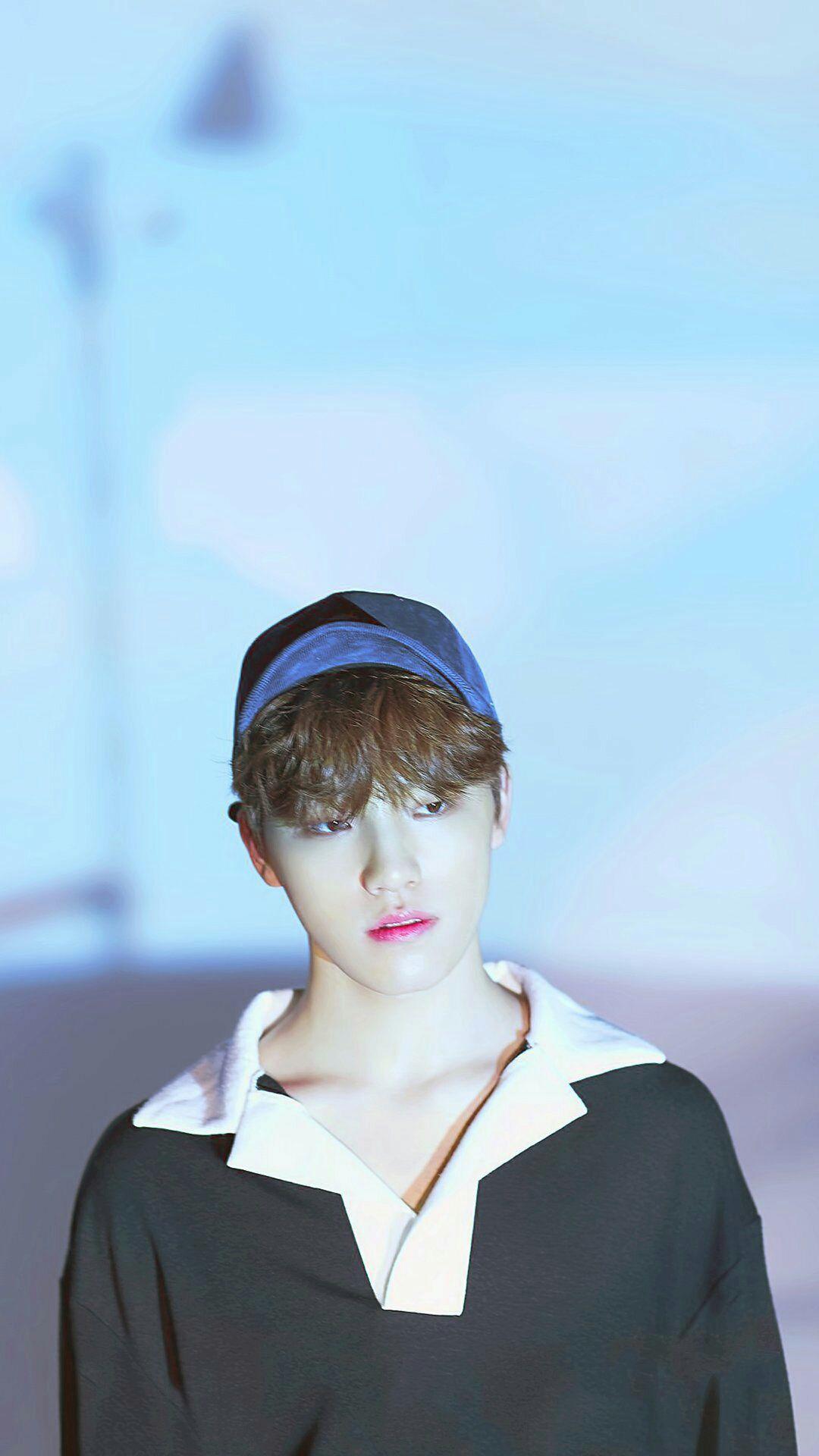 1080x1920 Dino Seventeen Wallpaper