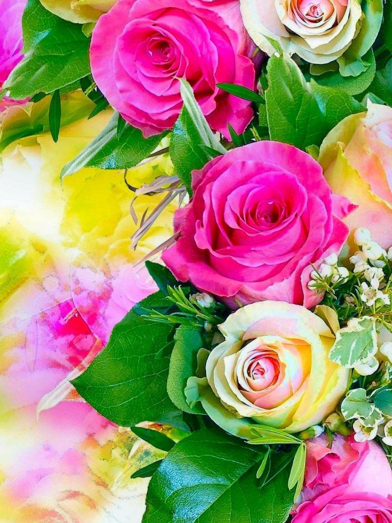 768x1024 Awesome Wallpaper HD Rose Flowers Image For Mobile picture