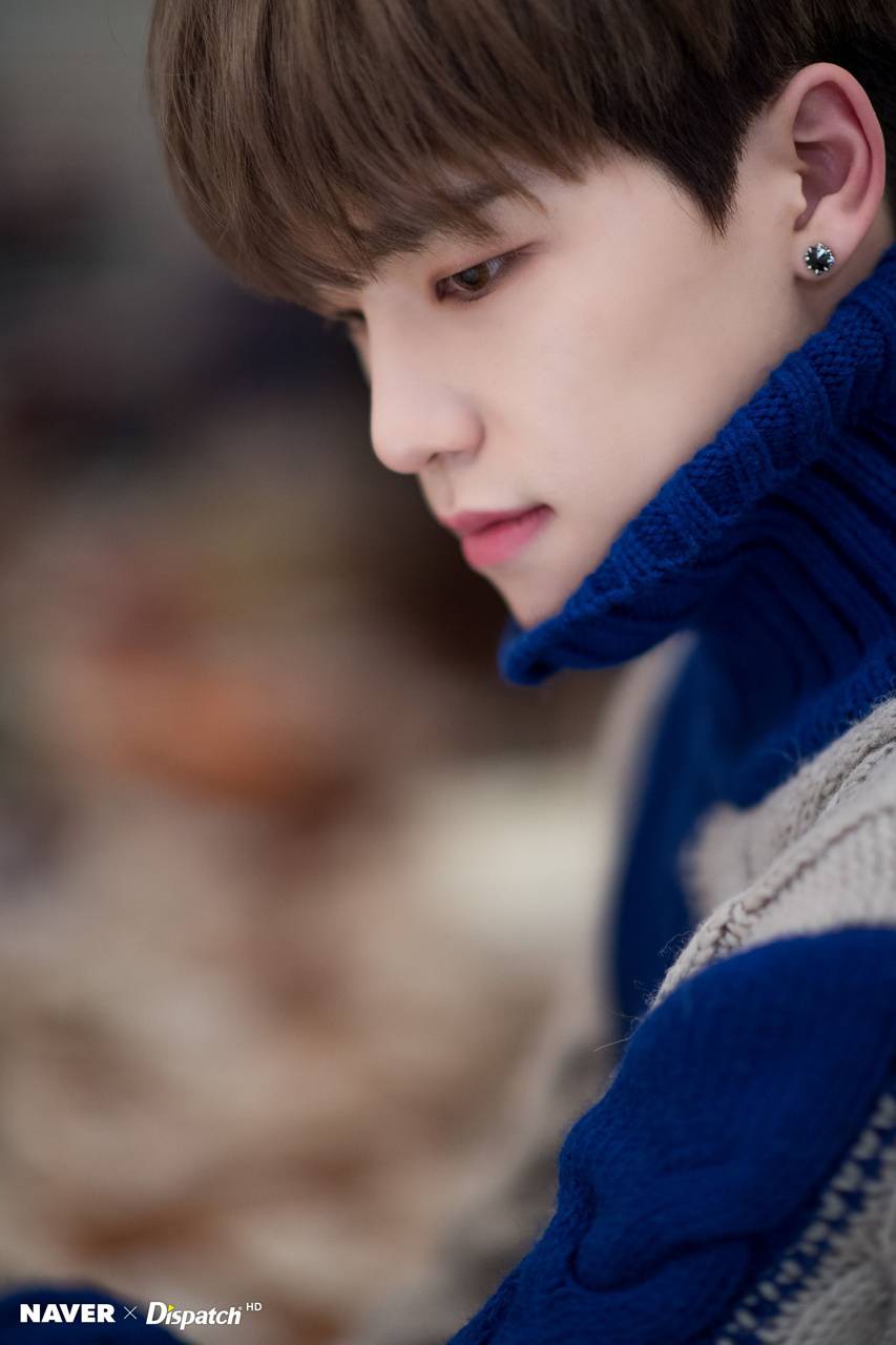 853x1280 HOME Dino wallpaper