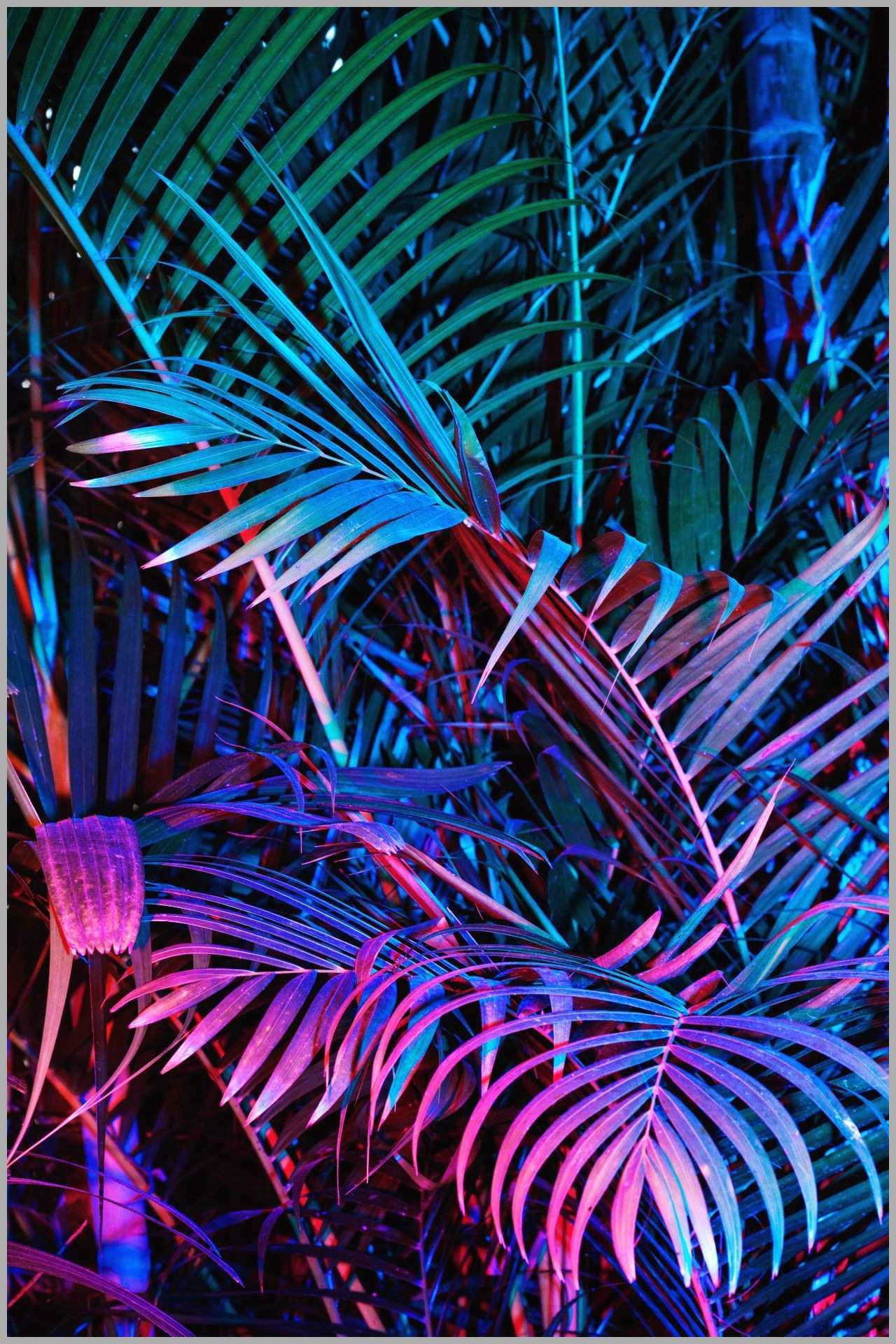 1280X1920 Wallpapers - Top Free 1280X1920 Backgrounds - WallpaperAccess