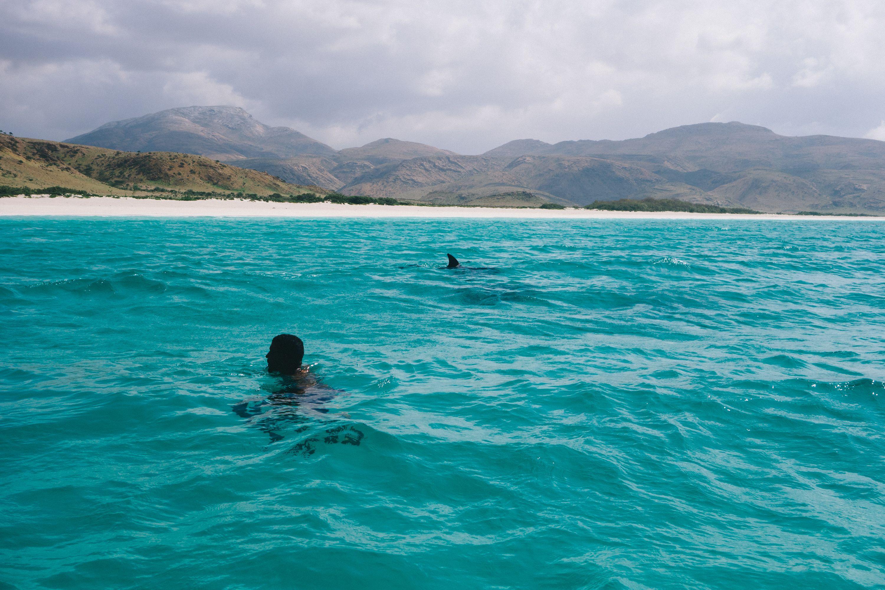 3000x2000 Socotra, Yemen Travel Guide