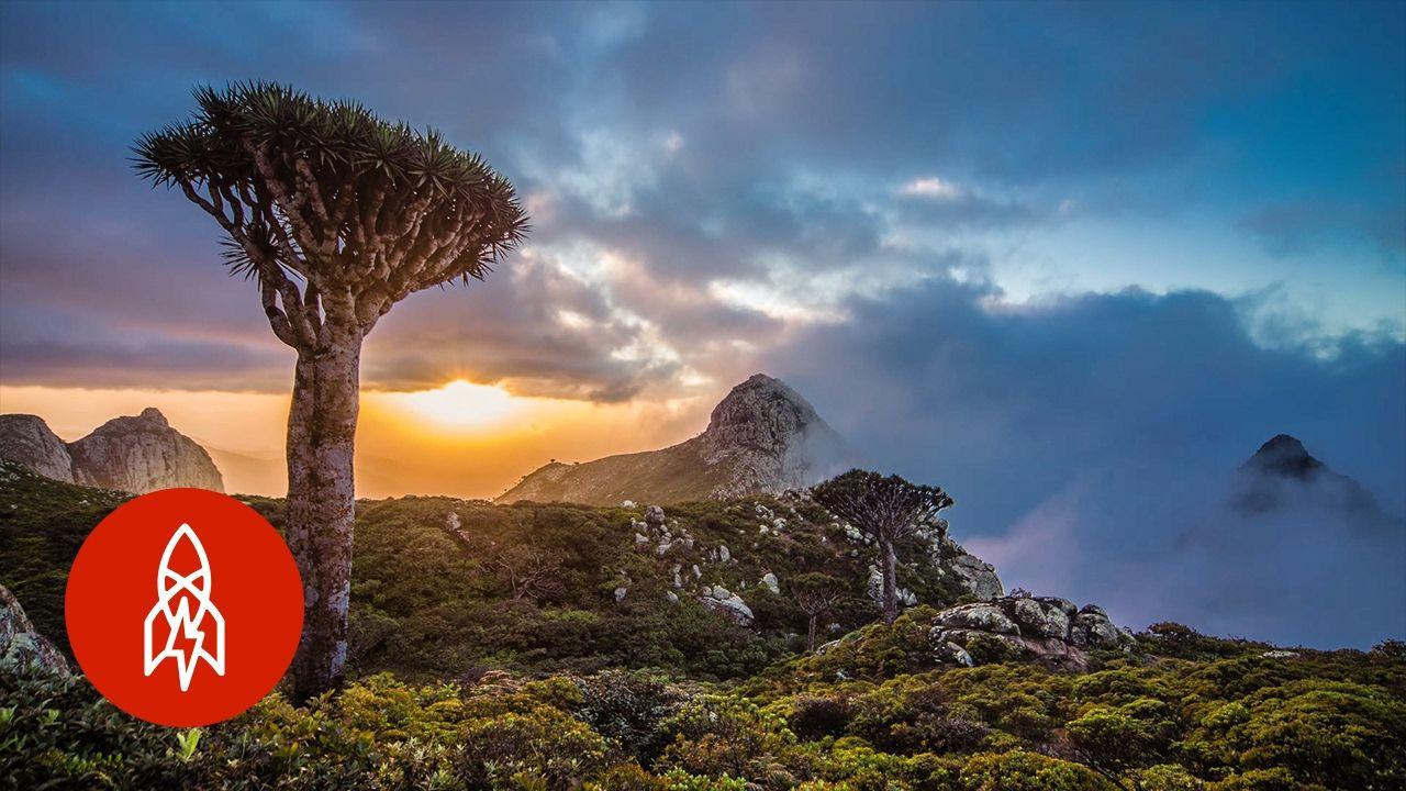 1280x720 The Alien Beauty of Socotra Island