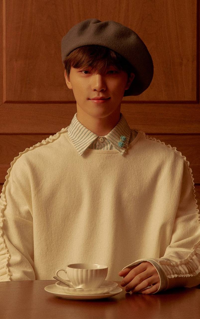 Dino Seventeen Wallpapers Top Free Dino Seventeen Backgrounds