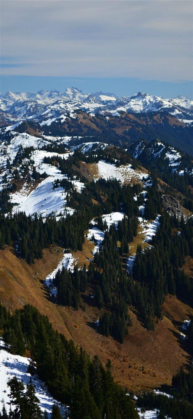 640x1385 Socotra Island iPhone X Wallpaper Free Download