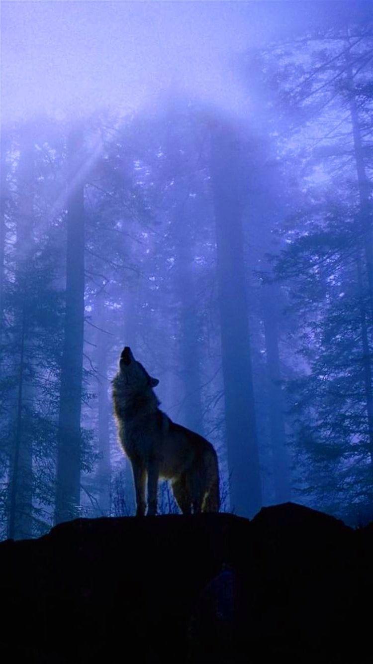 750x1334 Cool Wolf Lock Screen Free HD Wallpaper