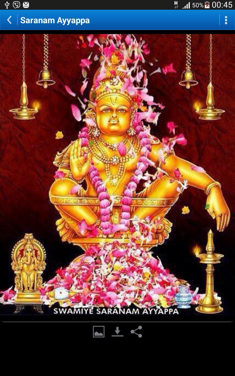800x1280 Sabarimala Ayyappan Wallpaper for Android