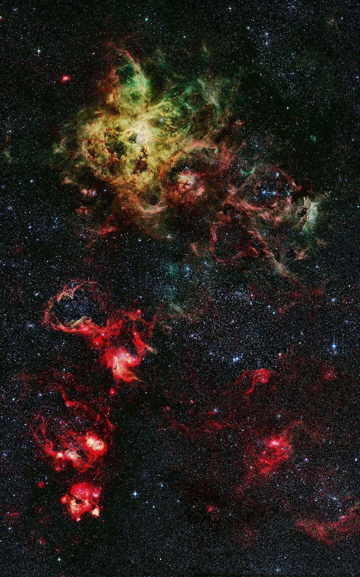 1200x1920 Wallpaper