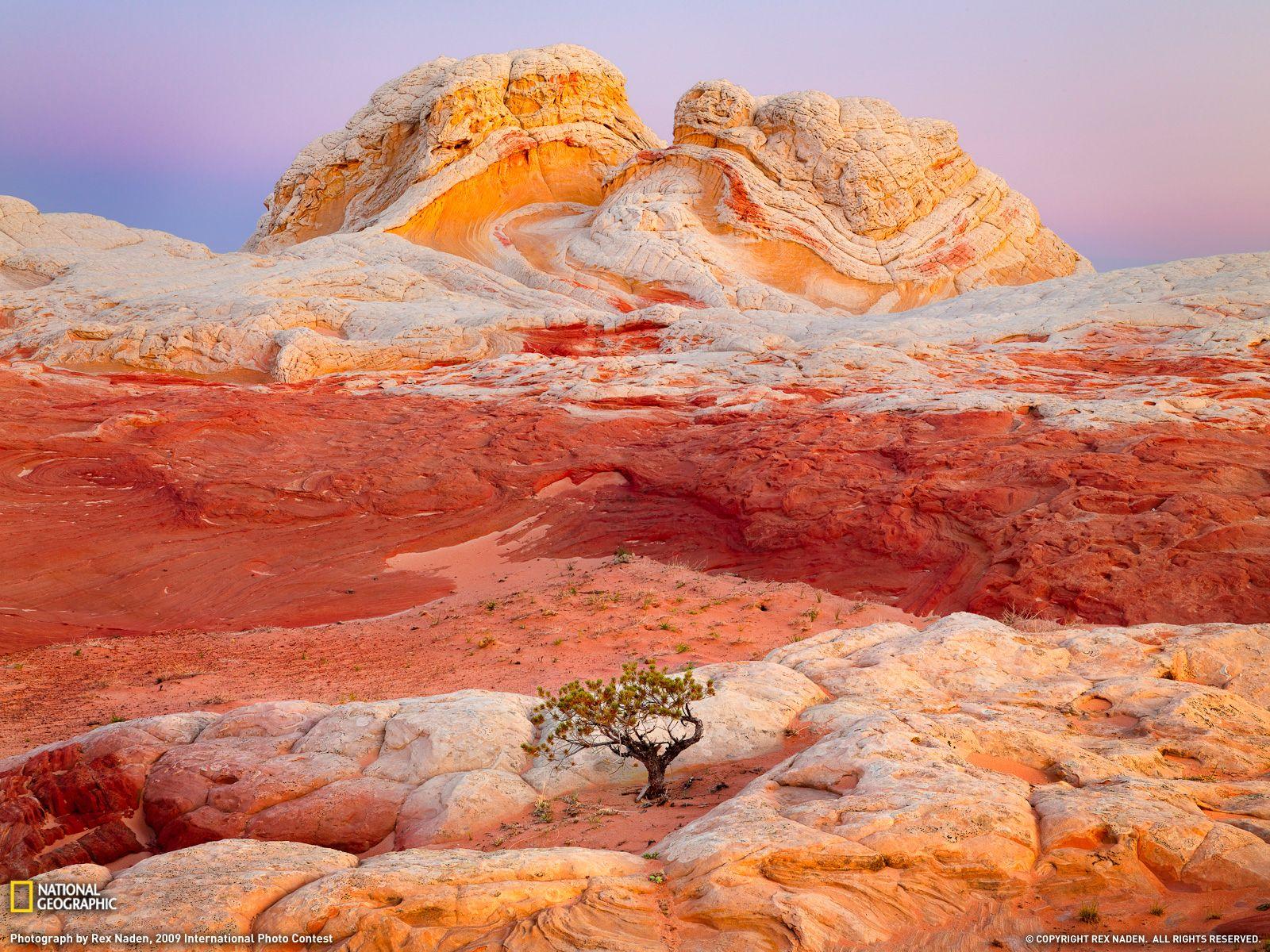 1600x1200 Stuning Photo from National Geographic Magazine. I Like To Waste My Time