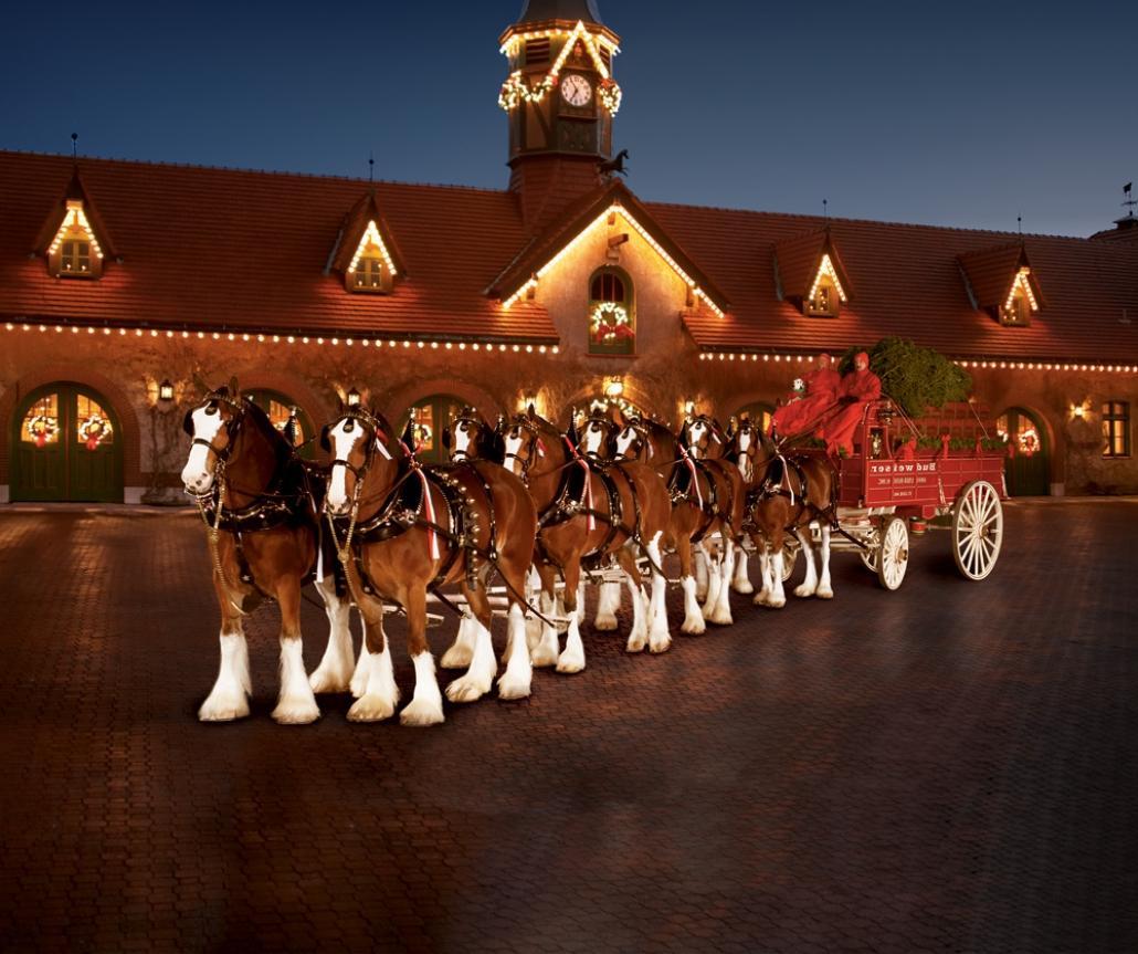 1030x863 Budweiser Clydesdales Christmas Screensaver Christmas Wallpaper & Background Download