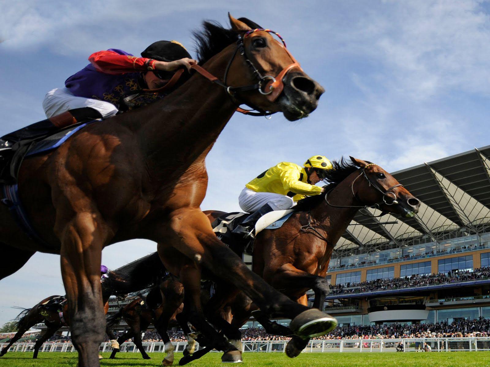 1600x1200 Race Horse Wallpaper