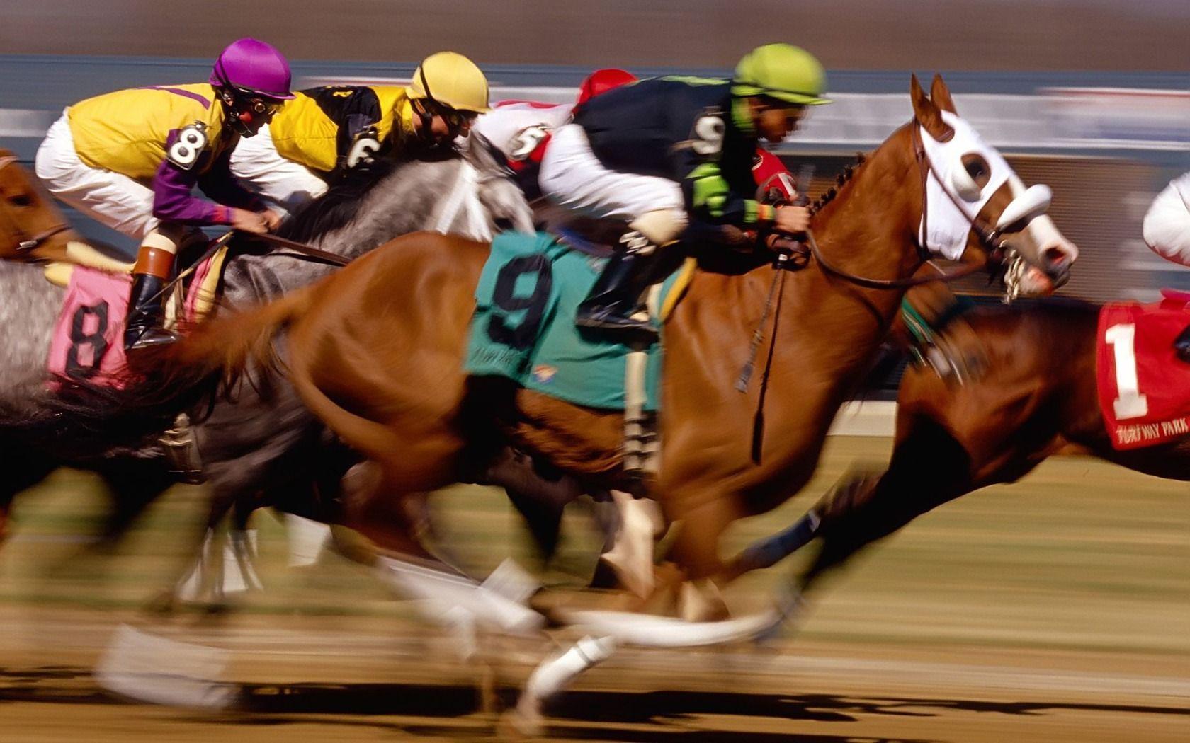 1680x1050 Horse Racing Wallpaper