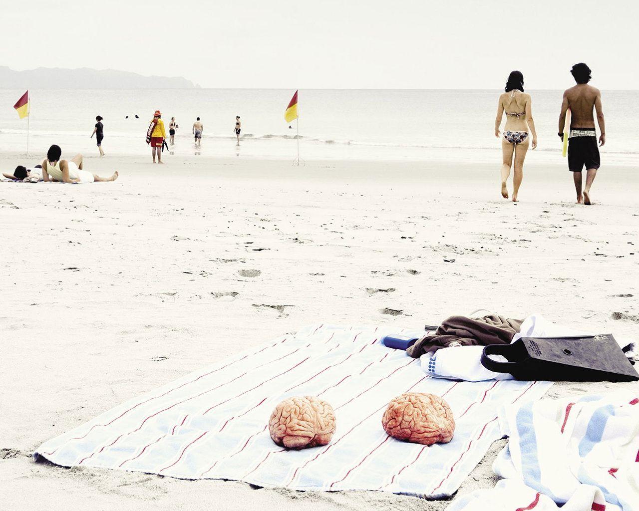 1280x1024 Index Of Wallpaper Funny